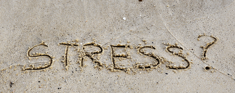 vacations don't solve burnout