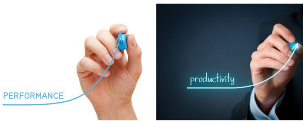 Performance and Productivity